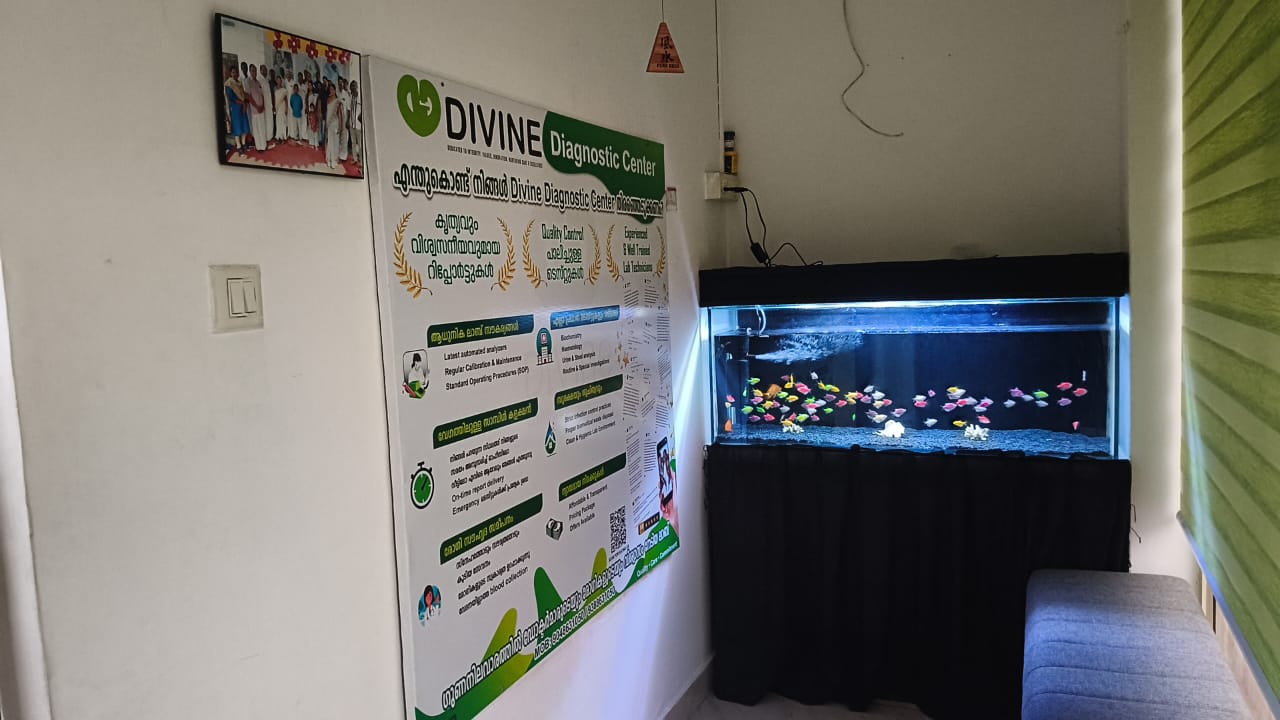 Divine main office and central lab at Edayakunnam